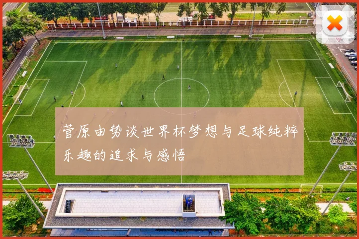 菅原由势谈世界杯梦想与足球纯粹乐趣的追求与感悟