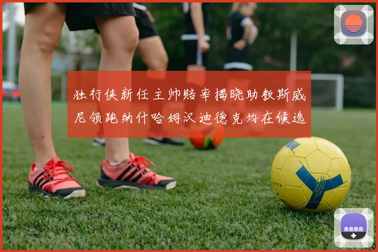 独行侠新任主帅赔率揭晓助教斯威尼领跑纳什哈姆汉迪德克均在候选之中