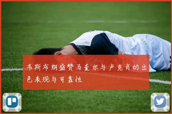 韦斯布朗盛赞马奎尔与卢克肖的出色表现与可靠性